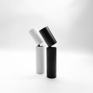 Dual Cylinder Ceiling Light
