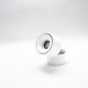 Adjustable Outdoor Spotlight