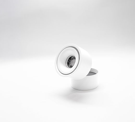 Adjustable Outdoor Spotlight